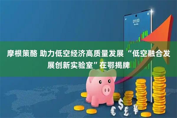 摩根策酪 助力低空经济高质量发展 “低空融合发展创新实验室”在鄂揭牌