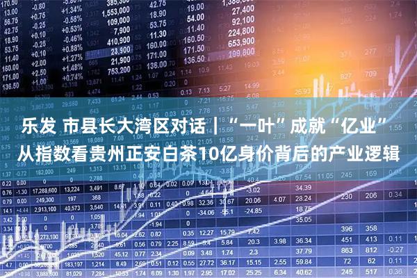 乐发 市县长大湾区对话｜“一叶”成就“亿业” 从指数看贵州正安白茶10亿身价背后的产业逻辑