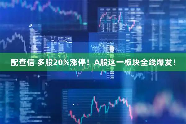 配查信 多股20%涨停！A股这一板块全线爆发！