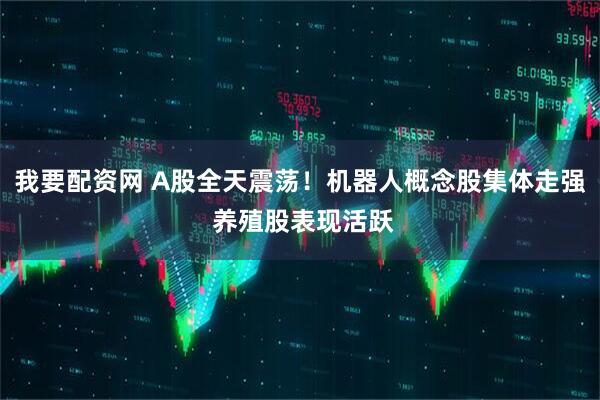 我要配资网 A股全天震荡！机器人概念股集体走强 养殖股表现活跃