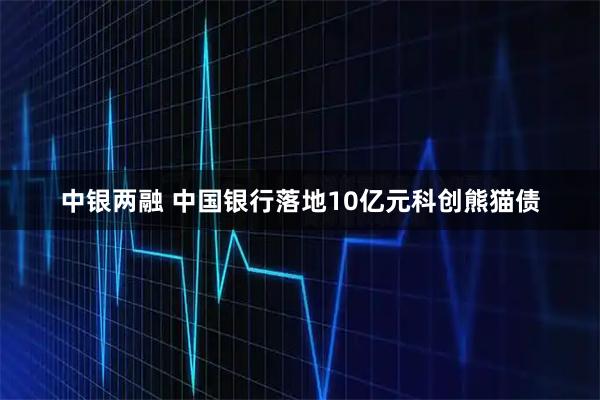 中银两融 中国银行落地10亿元科创熊猫债