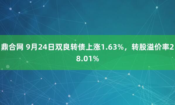 鼎合网 9月24日双良转债上涨1.63%，转股溢价率28.01%