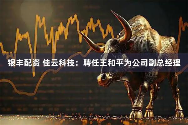 银丰配资 佳云科技：聘任王和平为公司副总经理