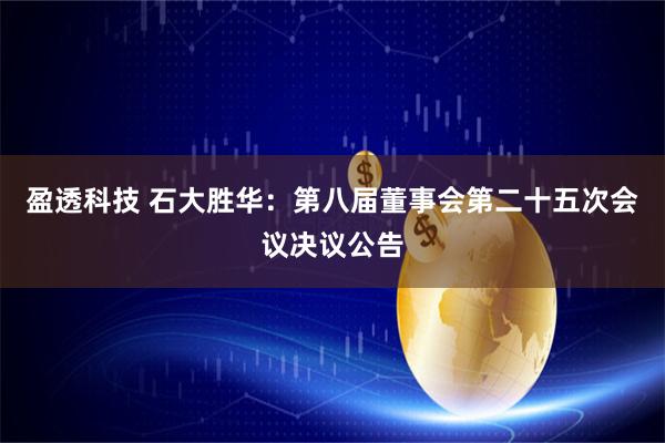 盈透科技 石大胜华：第八届董事会第二十五次会议决议公告