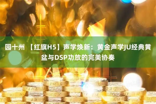 园十州 【红旗H5】声学焕新：黄金声学JU经典黄盆与DSP功放的完美协奏