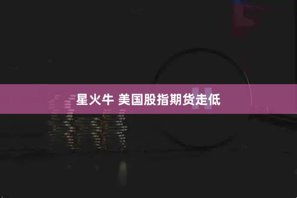 星火牛 美国股指期货走低